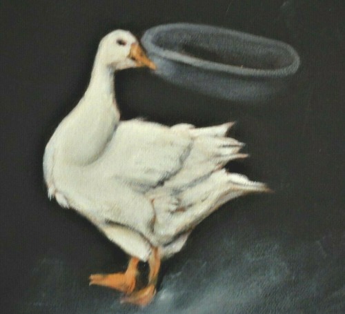 Erica claisse - erica, -(?)