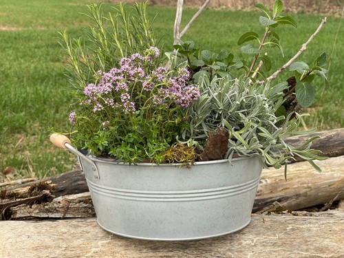 Zinkschale blumenkübel - zinkschale,